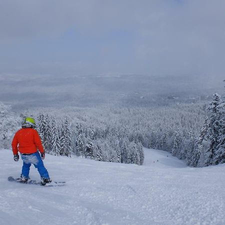 Borovets Apartment, Villa Park المظهر الخارجي الصورة