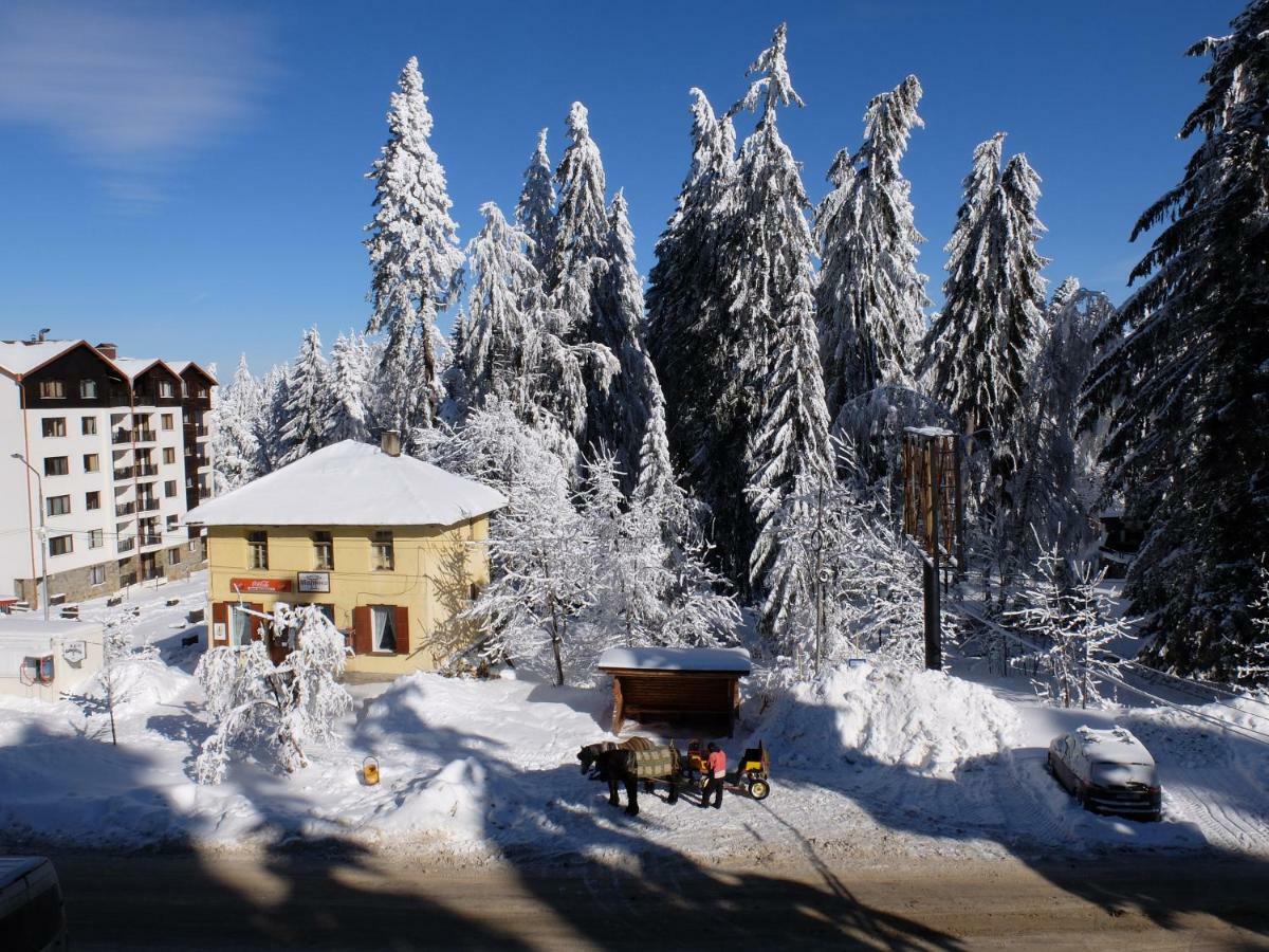 Borovets Apartment, Villa Park المظهر الخارجي الصورة
